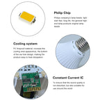 S62772fd1924343aa8c2b225d1b2a95f6V