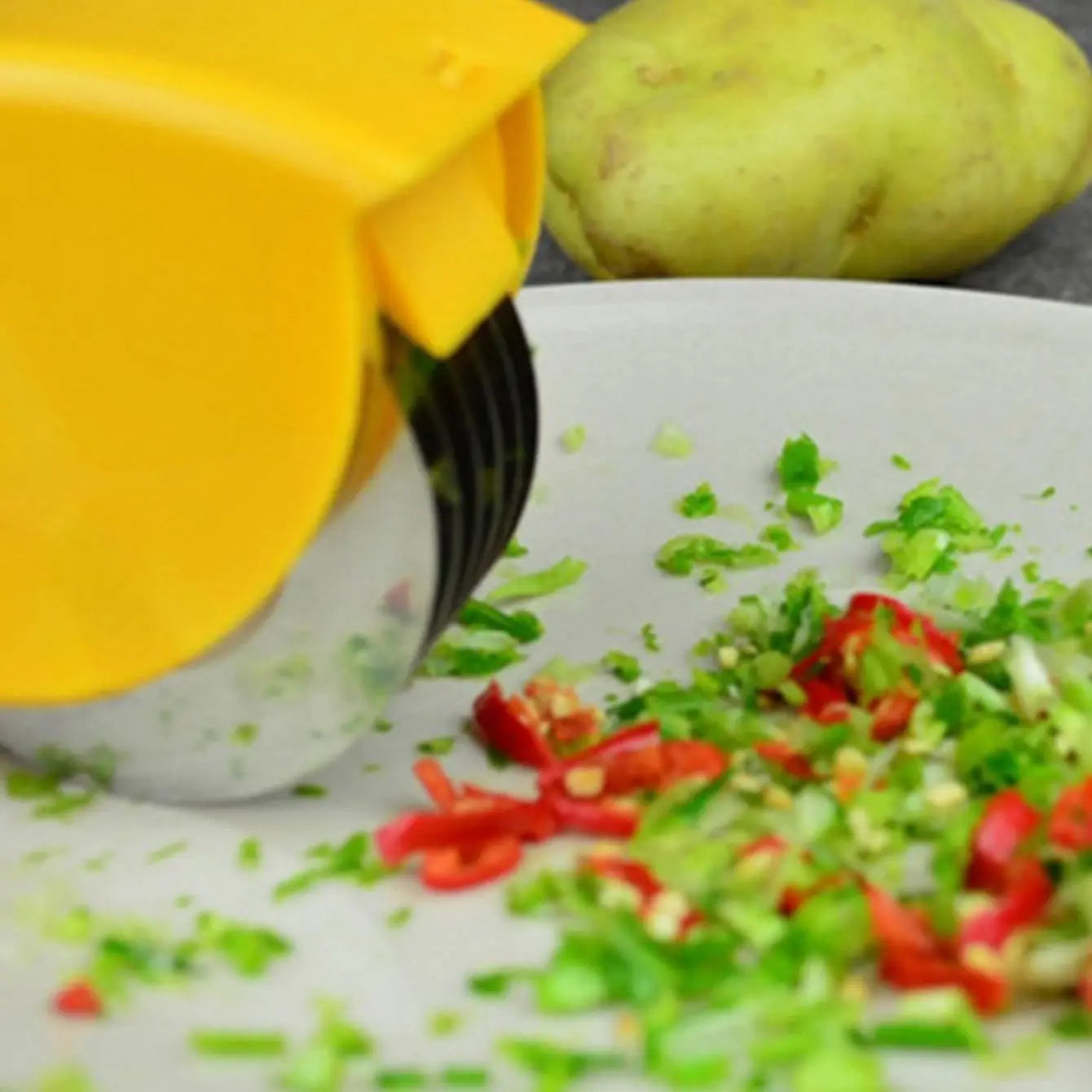 Sc665c563472b4816a827cb2b72e96209a