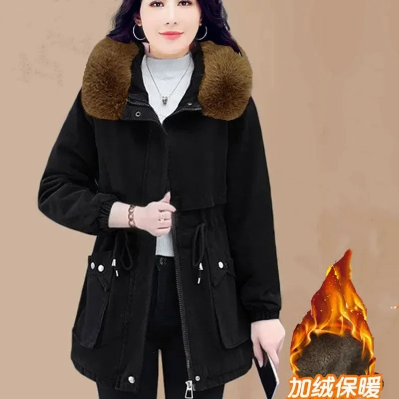 Se4bfb66991514410acf73daa5c704c25i